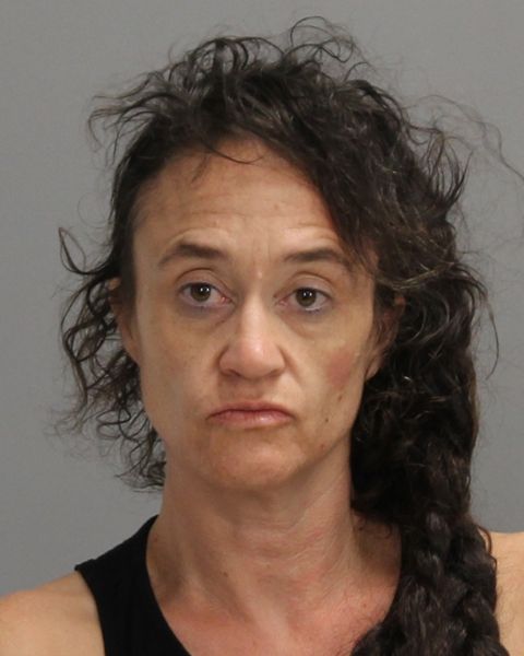 BRUSOE, LAURA JANE arrest record in Brazos County, Texas BRUSOE, LAURA JANE arrested in Brazos County, Texas mugshot