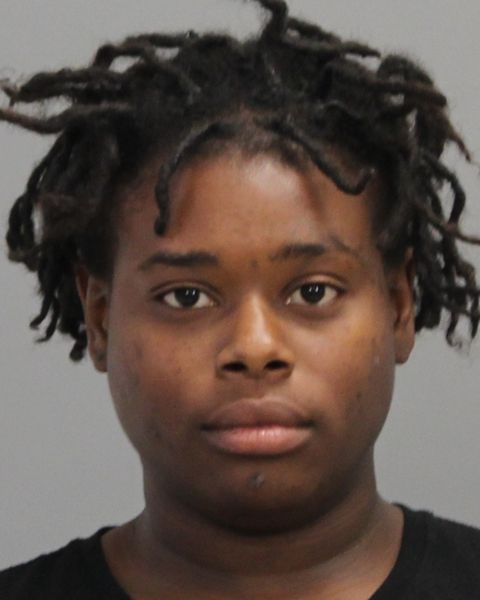 REESE, BREALAN SHERELLE arrest record in Brazos County, Texas REESE, BREALAN SHERELLE arrested in Brazos County, Texas mugshot