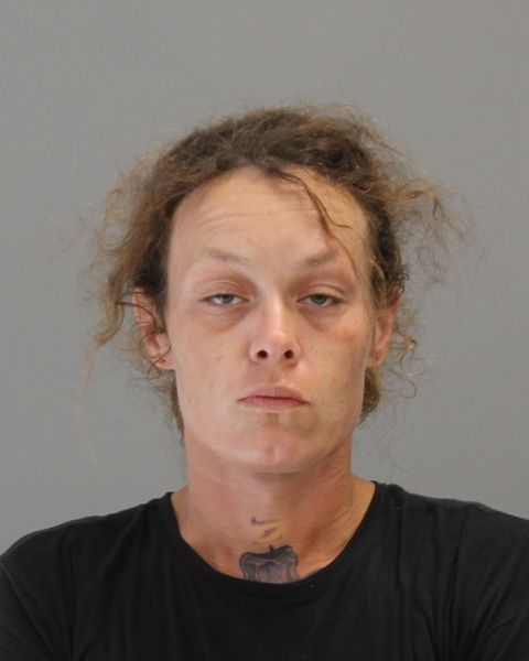 BISCAMP, WENDY MICHELLE arrest record in Brazos County, Texas BISCAMP, WENDY MICHELLE arrested in Brazos County, Texas mugshot