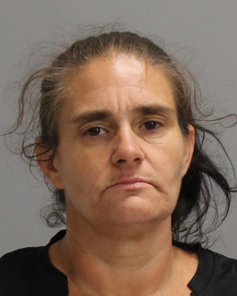 SPAIN, CHERIE LYN arrest record in Brazos County, Texas SPAIN, CHERIE LYN arrested in Brazos County, Texas mugshot