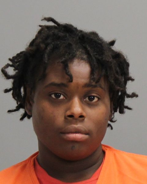 REESE, BREALAN SHERELLE arrest record in Brazos County, Texas REESE, BREALAN SHERELLE arrested in Brazos County, Texas mugshot