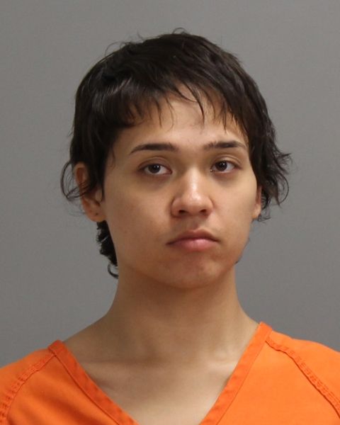 HELU, SONIA arrest record in Brazos County, Texas HELU, SONIA arrested in Brazos County, Texas mugshot