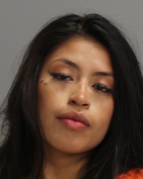 VASQUEZ-VASQUEZ, ARASELI ANAL arrest record in Brazos County, Texas VASQUEZ-VASQUEZ, ARASELI ANAL arrested in Brazos County, Texas mugshot