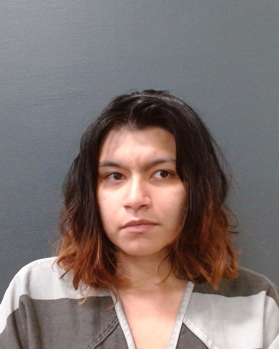 FRAYRE, DESTINY DAISY arrest record in Comal County, Texas FRAYRE, DESTINY DAISY arrested in Comal County, Texas mugshot