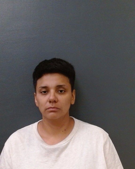 LUNA, LORI LEE arrest record in Comal County, Texas LUNA, LORI LEE arrested in Comal County, Texas mugshot