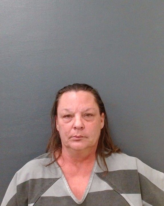 WILLIAMS, MICHELE LYN arrest record in Comal County, Texas WILLIAMS, MICHELE LYN arrested in Comal County, Texas mugshot