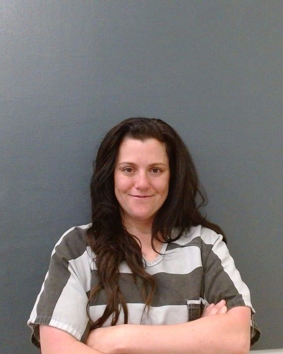 ELKINS, AMBER MARIE arrest record in Comal County, Texas ELKINS, AMBER MARIE arrested in Comal County, Texas mugshot