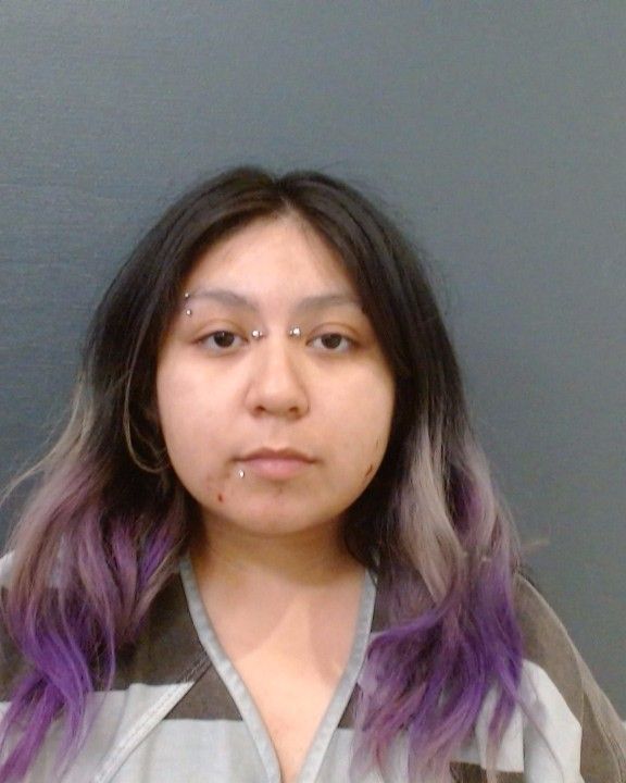 REAGAN, NINA ALEXIS PRISCILLA arrest record in Comal County, Texas REAGAN, NINA ALEXIS PRISCILLA arrested in Comal County, Texas mugshot