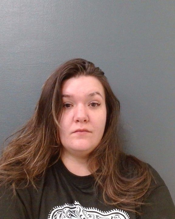 SINDIK, ZOE KERIGAN arrest record in Comal County, Texas SINDIK, ZOE KERIGAN arrested in Comal County, Texas mugshot