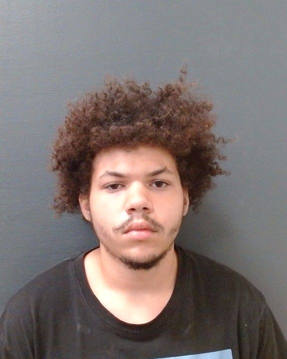 HALE, OMAR MICHAEL arrest record in Comal County, Texas HALE, OMAR MICHAEL arrested in Comal County, Texas mugshot