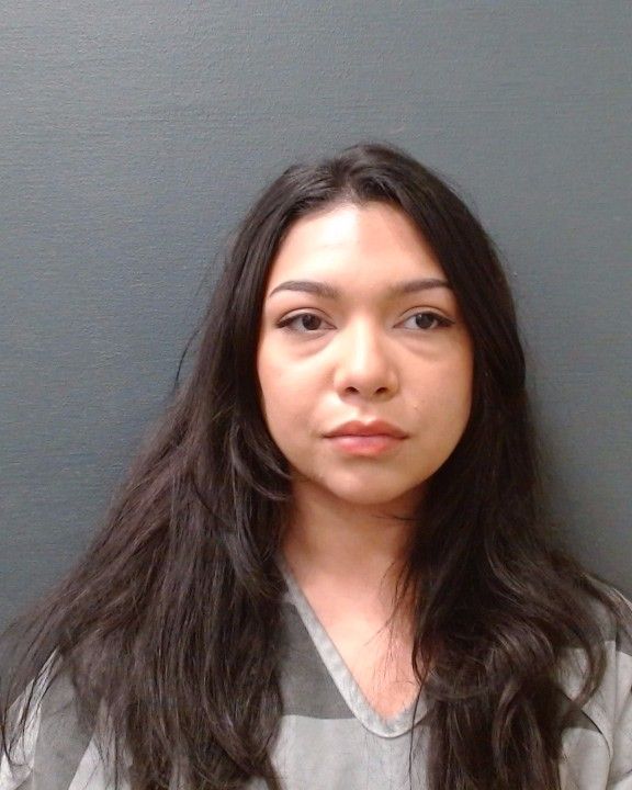 ARMENDARIZ, DANIELLE EVE arrest record in Comal County, Texas ARMENDARIZ, DANIELLE EVE arrested in Comal County, Texas mugshot