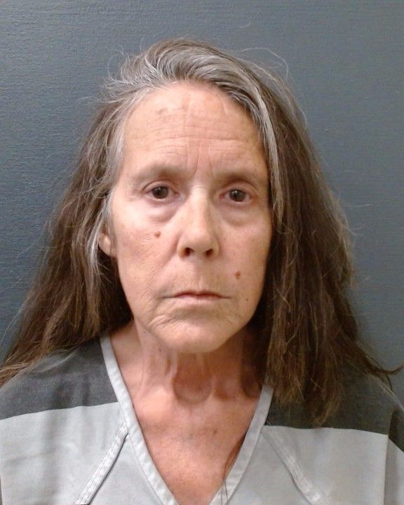 HAGER, ROBBIE ELAINE arrest record in Comal County, Texas HAGER, ROBBIE ELAINE arrested in Comal County, Texas mugshot