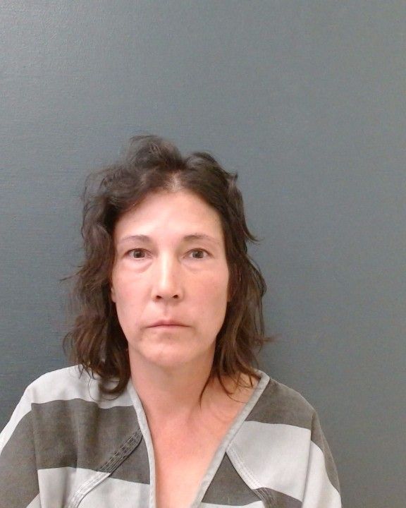 WHITE, ALLISON TRACY arrest record in Comal County, Texas WHITE, ALLISON TRACY arrested in Comal County, Texas mugshot