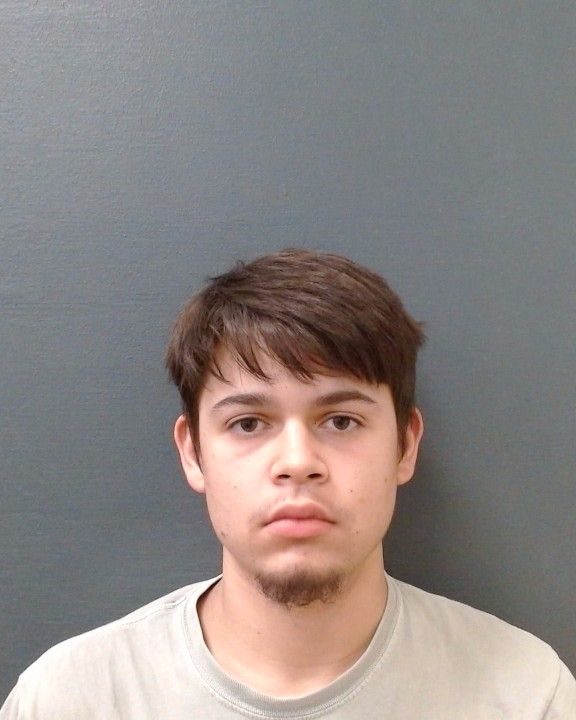 MENDIETTA, ADEN MICHAEL arrest record in Comal County, Texas MENDIETTA, ADEN MICHAEL arrested in Comal County, Texas mugshot