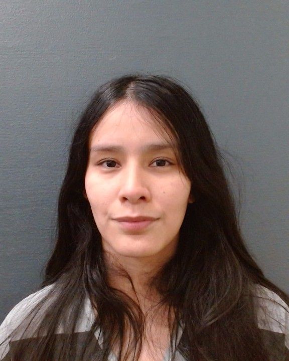 GONZALES, MIRANDA arrest record in Comal County, Texas GONZALES, MIRANDA arrested in Comal County, Texas mugshot