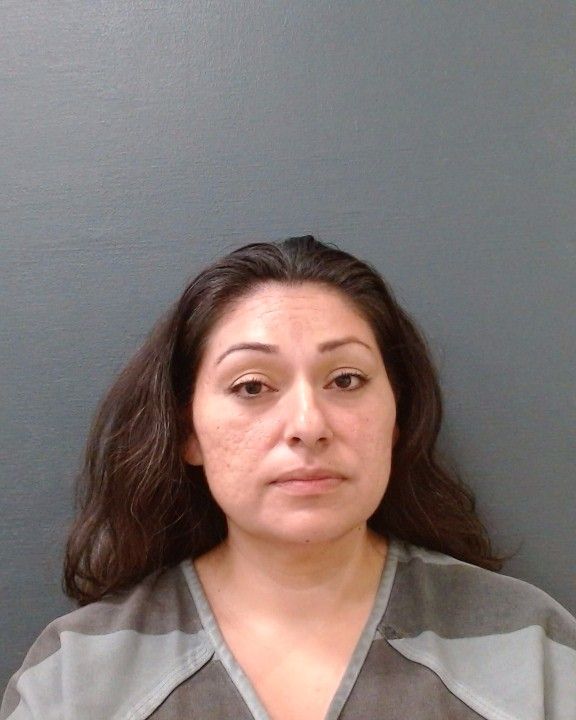 CASTILLO, ROSE MARIE arrest record in Comal County, Texas CASTILLO, ROSE MARIE arrested in Comal County, Texas mugshot