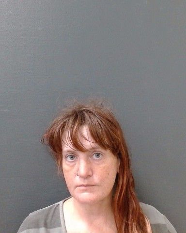 HOLLIDAY-JACOBS, SARA CARYN arrest record in Comal County, Texas HOLLIDAY-JACOBS, SARA CARYN arrested in Comal County, Texas mugshot