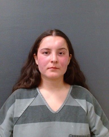 VILLALPANDO, YESENIA CAROLYN arrest record in Comal County, Texas VILLALPANDO, YESENIA CAROLYN arrested in Comal County, Texas mugshot