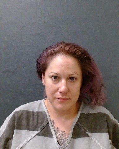SEALS, CASSIDY NICOLE arrest record in Comal County, Texas SEALS, CASSIDY NICOLE arrested in Comal County, Texas mugshot