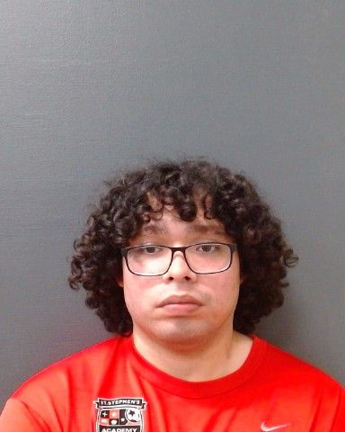 CIGALES, JOSHUA arrest record in Comal County, Texas CIGALES, JOSHUA arrested in Comal County, Texas mugshot