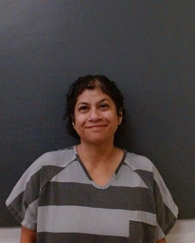 RIVERA, ELIZABETH arrest record in Comal County, Texas RIVERA, ELIZABETH arrested in Comal County, Texas mugshot