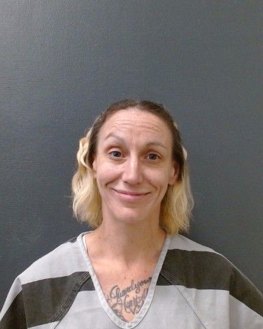 RYDER, ALICIA arrest record in Comal County, Texas RYDER, ALICIA arrested in Comal County, Texas mugshot
