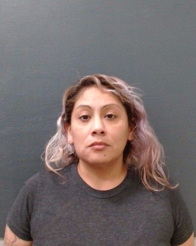 ESQUIBEL, ERICA JANE arrest record in Comal County, Texas ESQUIBEL, ERICA JANE arrested in Comal County, Texas mugshot