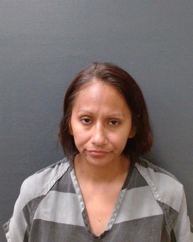 RIESEN, VIRGINIA arrest record in Comal County, Texas RIESEN, VIRGINIA arrested in Comal County, Texas mugshot