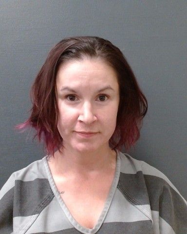 DEHOYOS, RENEE DENISE arrest record in Comal County, Texas DEHOYOS, RENEE DENISE arrested in Comal County, Texas mugshot
