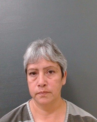 RAMIREZ, ADRIANA DON arrest record in Comal County, Texas RAMIREZ, ADRIANA DON arrested in Comal County, Texas mugshot
