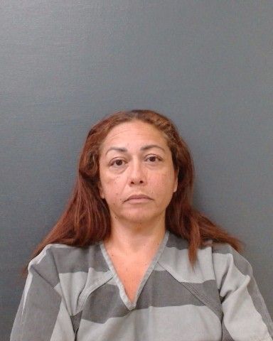 GALVAN, ISABEL arrest record in Comal County, Texas GALVAN, ISABEL arrested in Comal County, Texas mugshot