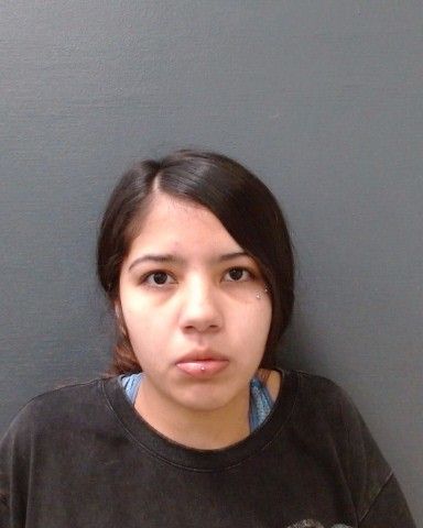 GONZALES, MARY ANNA arrest record in Comal County, Texas GONZALES, MARY ANNA arrested in Comal County, Texas mugshot