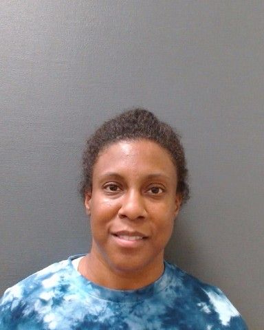HOUSE, SHAINA KIMBERLY arrest record in Comal County, Texas HOUSE, SHAINA KIMBERLY arrested in Comal County, Texas mugshot