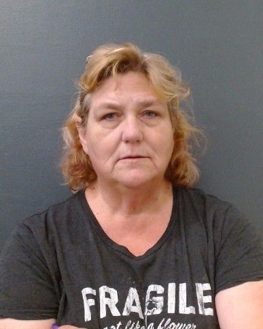 BURKE, JENNIFER JILL arrest record in Comal County, Texas BURKE, JENNIFER JILL arrested in Comal County, Texas mugshot