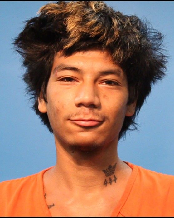 Delz, Colt Nobel arrest record in Brazoria County, Texas Delz, Colt Nobel arrested in Brazoria County, Texas mugshot