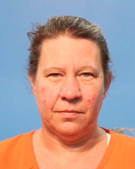 Welhoelter, Shannon Nicole arrest record in Brazoria County, Texas Welhoelter, Shannon Nicole arrested in Brazoria County, Texas mugshot