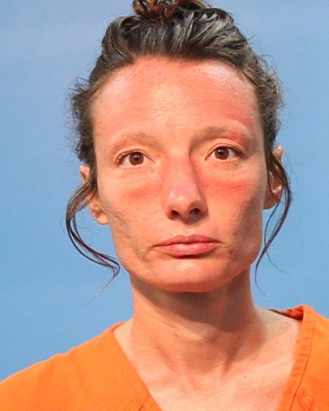 Harrison, April arrest record in Brazoria County, Texas Harrison, April arrested in Brazoria County, Texas mugshot