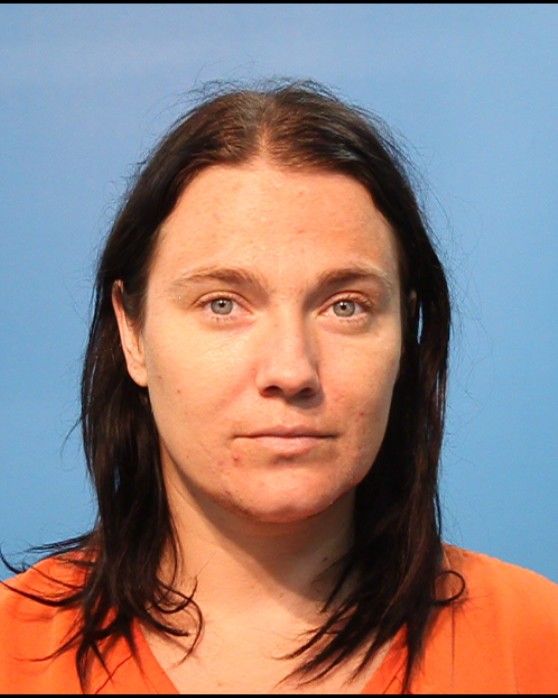 LEVINE, MARIAM RESNICK arrest record in Brazoria County, Texas LEVINE, MARIAM RESNICK arrested in Brazoria County, Texas mugshot