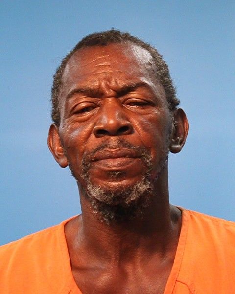 Nelson, Darwin Ray, Jr. arrest record in Brazoria County, Texas Nelson, Darwin Ray, Jr. arrested in Brazoria County, Texas mugshot