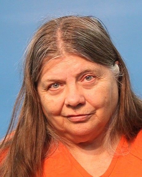 STROTHER, FRANCINE arrest record in Brazoria County, Texas STROTHER, FRANCINE arrested in Brazoria County, Texas mugshot