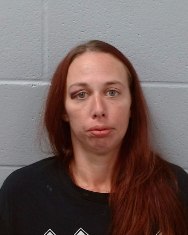 Sheffield, Crystal Nicole arrest record in Hays County, Texas Sheffield, Crystal Nicole arrested in Hays County, Texas mugshot