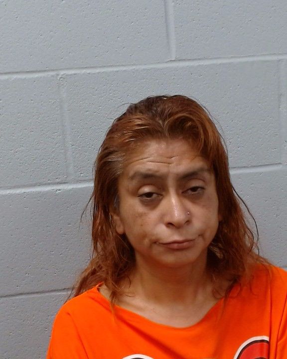 Armendarez, Christina Seelig arrest record in Hays County, Texas Armendarez, Christina Seelig arrested in Hays County, Texas mugshot
