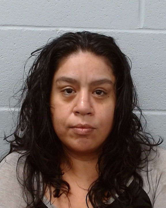 Garcia De Alba, Norma arrest record in Hays County, Texas Garcia De Alba, Norma arrested in Hays County, Texas mugshot