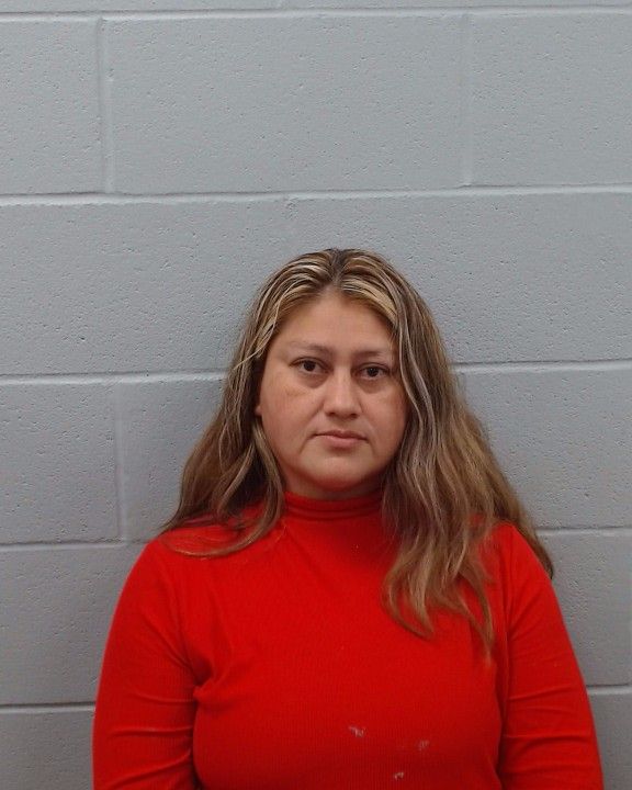 Mendez, Maria arrest record in Hays County, Texas Mendez, Maria arrested in Hays County, Texas mugshot