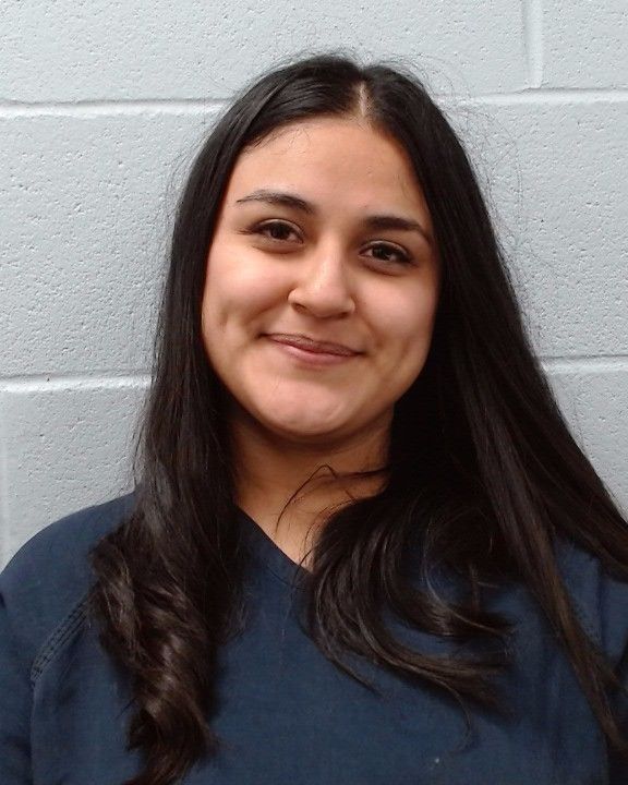 Victoriano, Guillermina arrest record in Hays County, Texas Victoriano, Guillermina arrested in Hays County, Texas mugshot