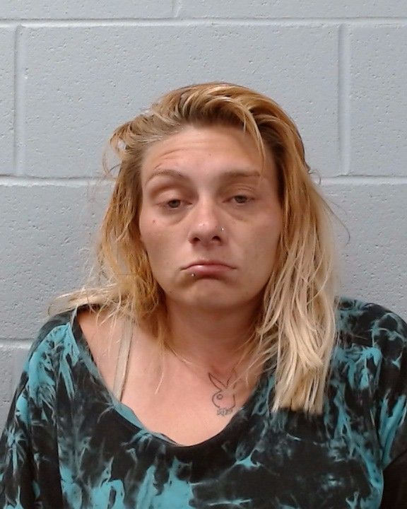 Glendening, Shianne Lane arrest record in Hays County, Texas Glendening, Shianne Lane arrested in Hays County, Texas mugshot