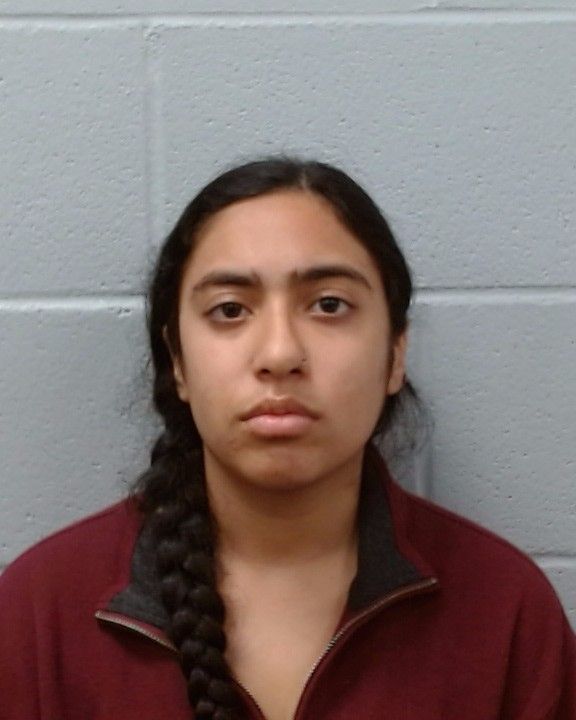 Bardoi, Tanisha Nadirali arrest record in Hays County, Texas Bardoi, Tanisha Nadirali arrested in Hays County, Texas mugshot