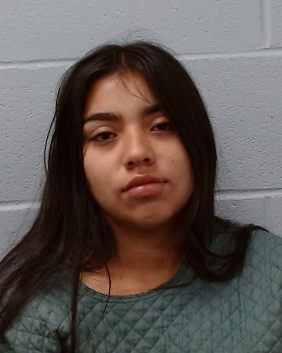 Gonzalez Montalvo, Yahaira arrest record in Hays County, Texas Gonzalez Montalvo, Yahaira arrested in Hays County, Texas mugshot