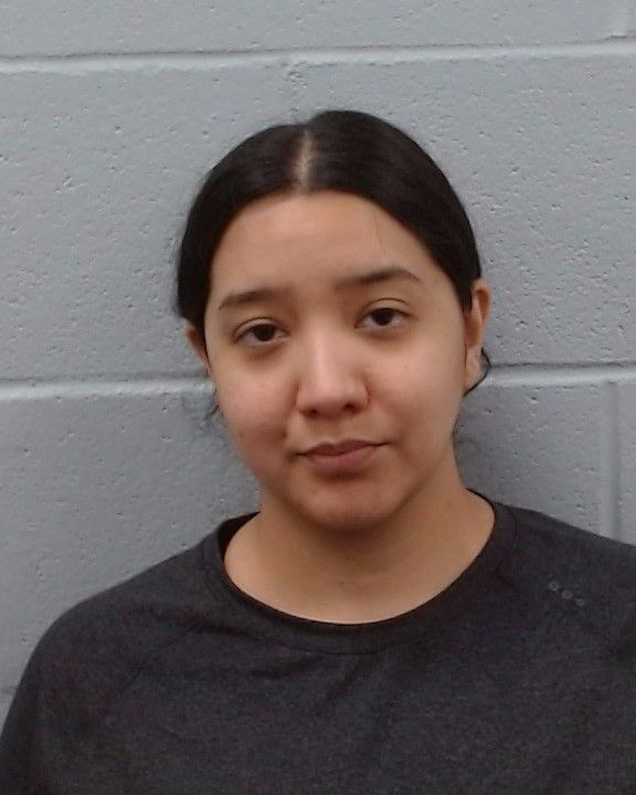 Moncivais, Alexis Denise arrest record in Hays County, Texas Moncivais, Alexis Denise arrested in Hays County, Texas mugshot