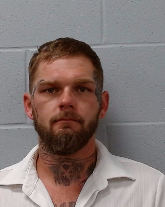 McCarty, Trey Alvin Wayne arrest record in Hays County, Texas McCarty, Trey Alvin Wayne arrested in Hays County, Texas mugshot